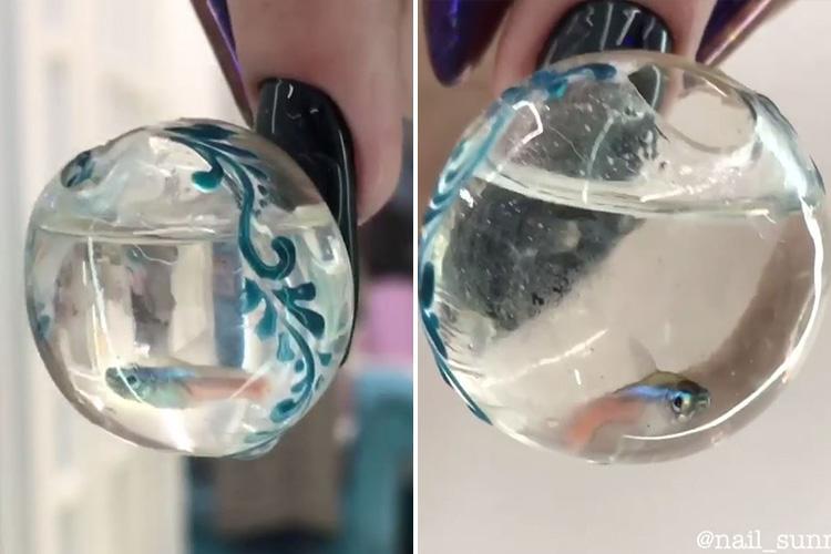 This bonkers manicure sees a woman get a fish bowl design – complete with a LIVE FISH